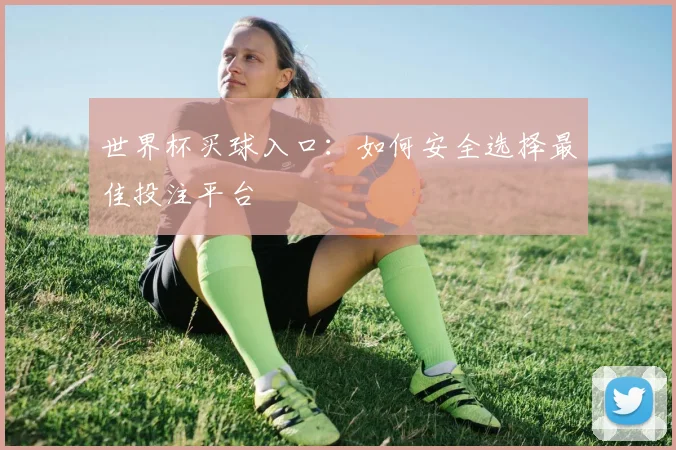 世界杯买球入口：如何安全选择最佳投注平台