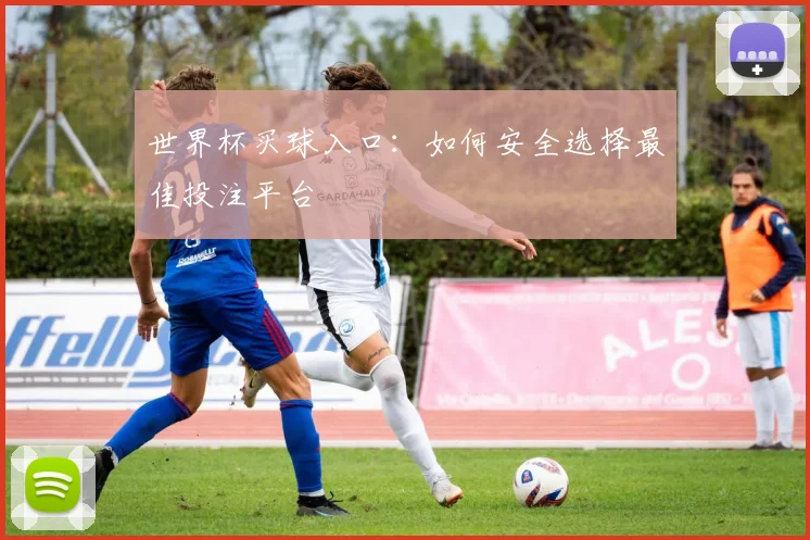 世界杯买球入口：如何安全选择最佳投注平台