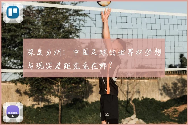 深度分析：中国足球的世界杯梦想与现实差距究竟在哪？