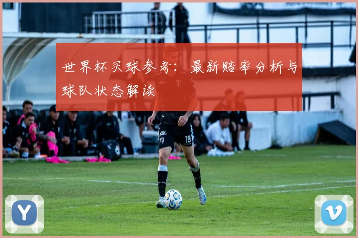 世界杯买球参考：最新赔率分析与球队状态解读