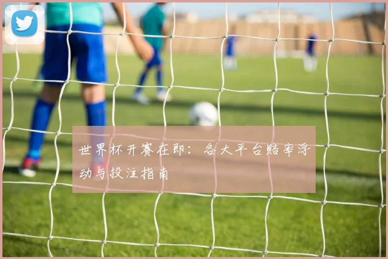 世界杯开赛在即：各大平台赔率浮动与投注指南