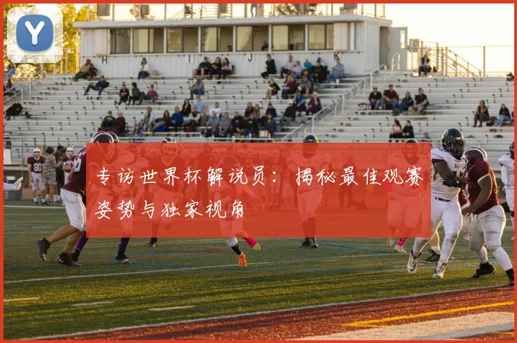 专访世界杯解说员:揭秘最佳观赛姿势与独家视角