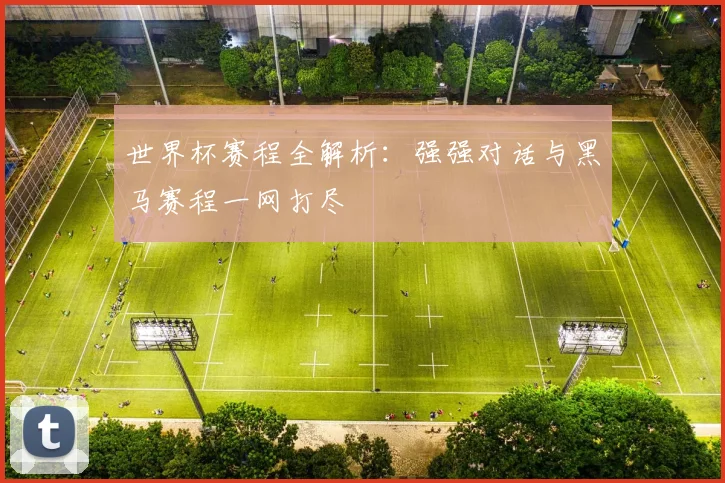 世界杯赛程全解析:强强对话与黑马赛程一网打尽
