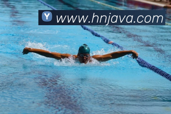 mksports官网登录平台生态图